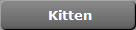 Kitten