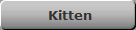 Kitten